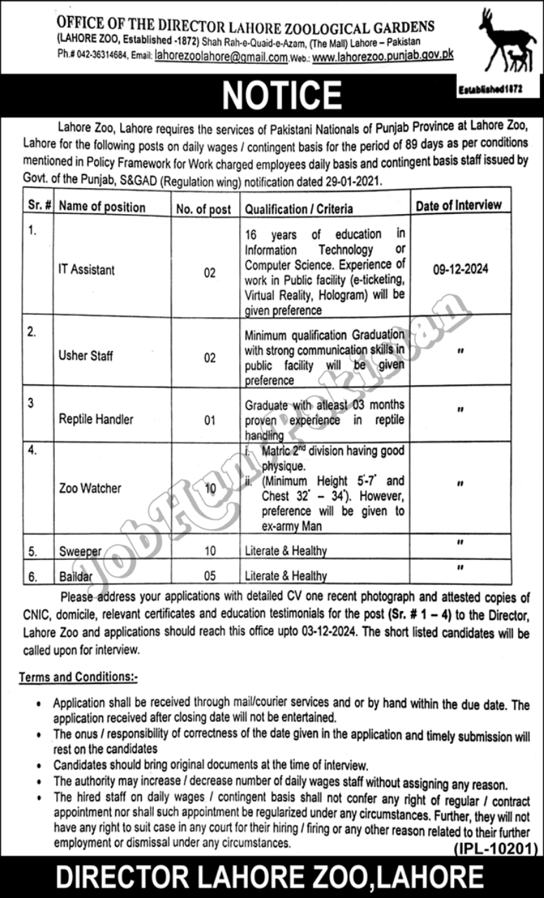 Lahore Zoological Gardens Jobs 2024
Latest Lahore Zoo Jobs 2024