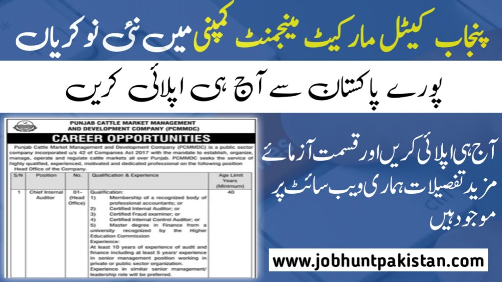 Punjab Cattle Market Management PCMMDC Jobs 2024