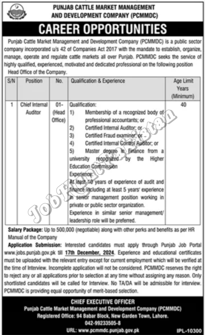 Punjab Cattle Market Management PCMMDC Jobs 2024