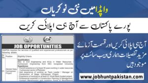 WAPDA Jobs 2025 for Dasu Hydropower Project & Consultant